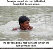 Boy risked his life to save baby deer…
