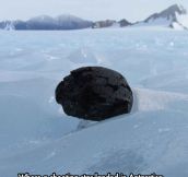 Meteorite landed in Antarctica…
