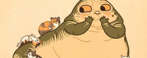 Who cares about Han Solo when you have cats…