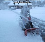 Snowtroopers work expectations…