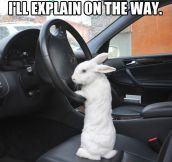 Hop in the car…
