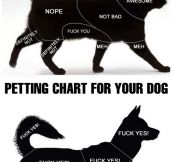 Petting chart…