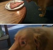 This poor dog’s face is priceless…