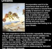 Dream facts that will shake you…