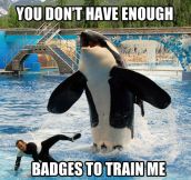 Whale trainer needs more badges…