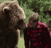 Bear kiss…