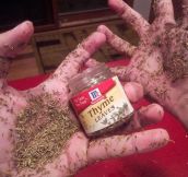 Too much thyme…