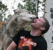 Wolves are just big puppies…