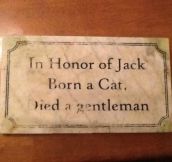 In honor of Jack…