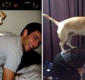 Before And After Photos Of Animals Growing Up