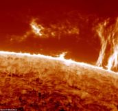 Now THAT’S a sunny garden! Amazing images of solar flares are captured by an amateur photographer in his back yard