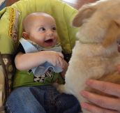Here Are 15 Pictures That Prove It’s The Simplest Moments That Mean The Most. Heart = Exploded