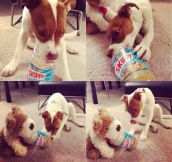 “I gave my dog an empty peanut butter jar last night and he shared it with his stuffed puppy…”
