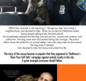 Hero Baltimore cop saves dog, gains new best friend…