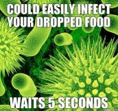 Good Guy Germs