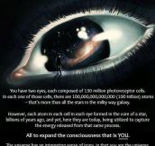 You are the universe experiencing itself…