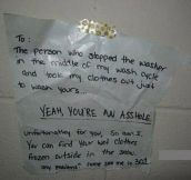College Laundromat Justice…