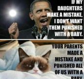 Grumpy cat for president…
