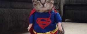 I Present You, Supercat