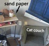 Everything Is a Cat Couch
