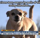 Well, Arizona is doomed…
