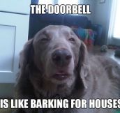 A Barkbell?