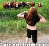 They find them to be udderly magnificent…