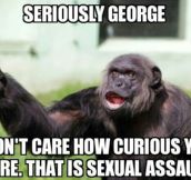 Classic George