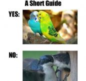 PDA Guide For Those Who Don’t Get It