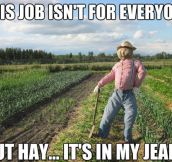 Corny Joke Scarecrow
