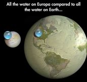 Europa vs. Earth