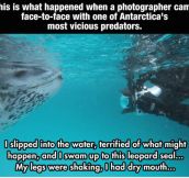 Photographer Gets Too Close To A Dangerous Predator, Then Something Amazing Happens