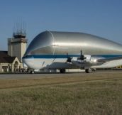 Nasa’s super-sized plane can carry 26 tonnes of spaceship parts and still travel at 290mph…Why Would Want to Cut Down on NASA’s Funding?