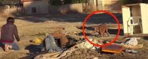 Abandoned Dog Gets a Big Surprise…I Love Happy Endings
