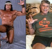 Pro Wrestlers Back In The Day And Today (20 pics)