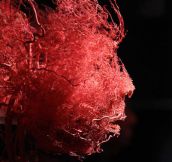 The blood vessel network of the human face