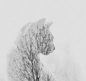 Double-exposure photo of my cat and trees
