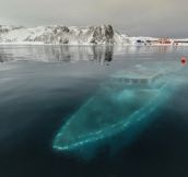 Frosty Antarctic Shipwreck