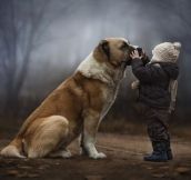 Add Post Russian Mother Takes Magical Pictures of Her Two Kids With Animals On Her Farm