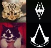 Assassin’s Cats