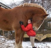 A Big Hug From a Gentle Giant