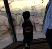 Batman Returned To His Cave