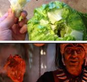 Every Time I Clean The Lettuce