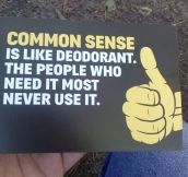 I Sense That Common Sense Isn’t Too Common After All