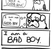 Good Boy Or Bad Boy?