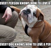 Dogs Are Full Of Love