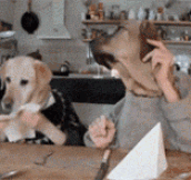 The Best Gif On The Internet, Ever