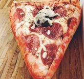 Pizza Dreams