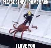 Overly Attached Octopus