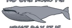 Sad Humpback Whale